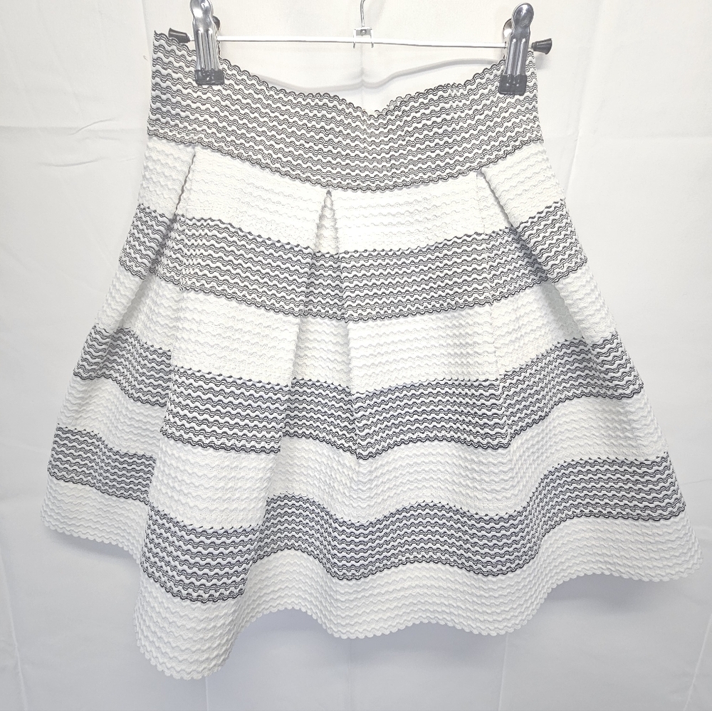 Charlotte Russe Black Aand White Skater Skirt NWOT